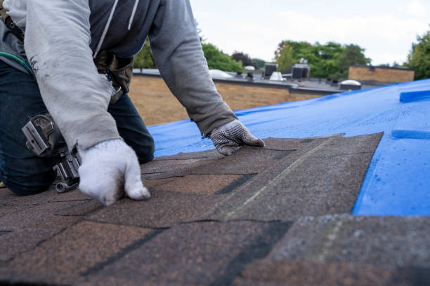 Best Shingle Roofing Installation  in Collinsville, TX