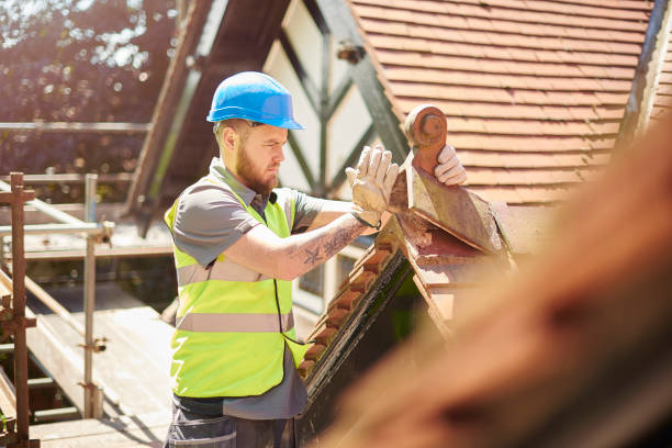 Best Roof Gutter Cleaning  in Collinsville, TX